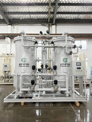 Skid Mounted Psa Nitrogen Gas Generator 99.99% Purity