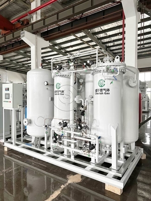Online Monitoring N2 Gas Purifier User Friendly Ensuring Efficient Functionality